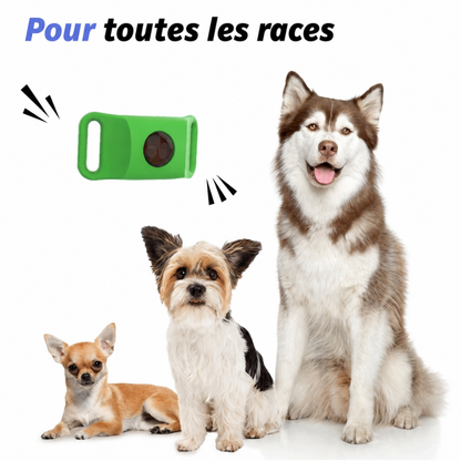 Pendentif anti parasite - votre animal ne souffrira plus !