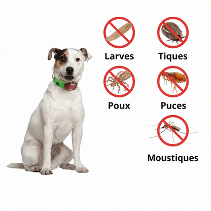 Pendentif anti parasite - votre animal ne souffrira plus !