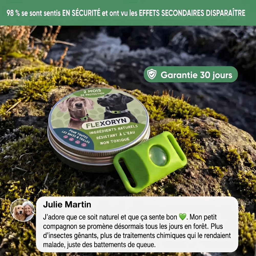 Pendentif anti parasite - votre animal ne souffrira plus !