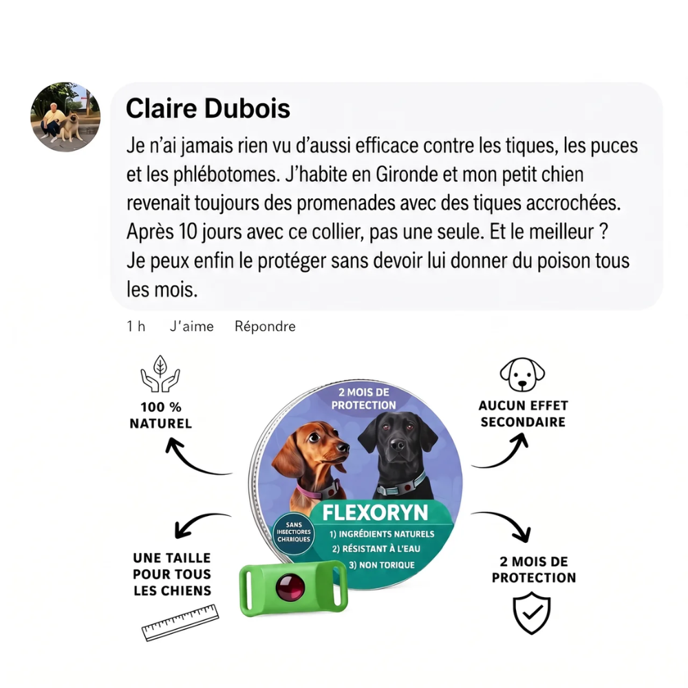 Pendentif anti parasite - votre animal ne souffrira plus !