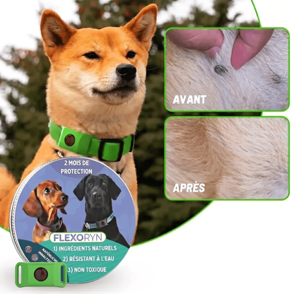 Pendentif anti parasite - votre animal ne souffrira plus !